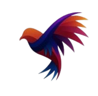 برنامج توكودي لإدارة الحسابات